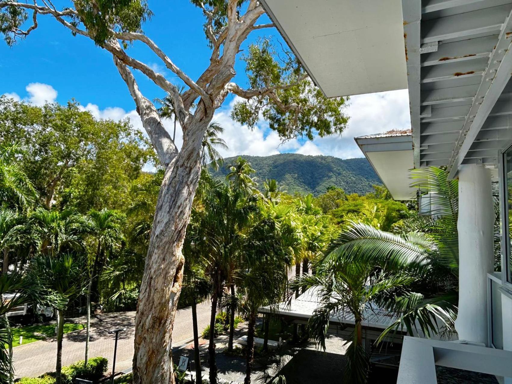Palm Cove Beachside Apartments - Pool And Garden Views Eksteriør billede